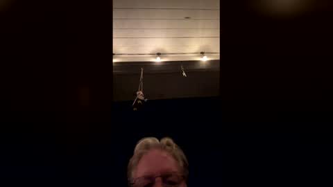 robertbrucemason online show from February 2026 03:28:02 AM