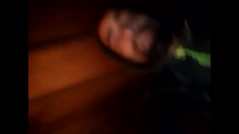 R online show from January 2025 04:50:01 AM