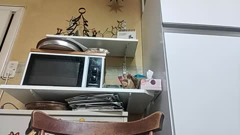 robke1966 online show from December 2025 07:06:01 AM