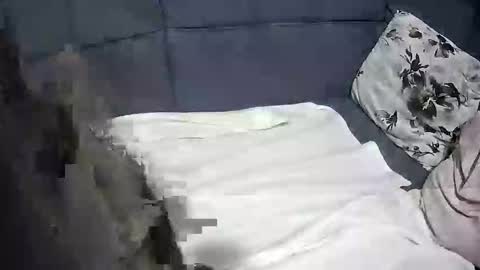 roccosan online show from October 2025 06:17:02 PM