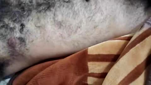 Snapshot of rockyp2025 chatting on March 2025 12:05:02 PM rockyp2025 online show from March 2025 12:05:02 PM