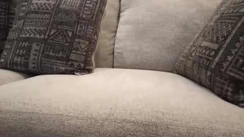 Snapshot of roger59267 chatting on October 2025 07:59:01 PM roger59267 online show from October 2025 07:59:01 PM