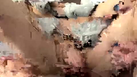 Snapshot of roidrager44 chatting on March 2025 03:45:02 PM roidrager44 online show from March 2025 03:45:02 PM