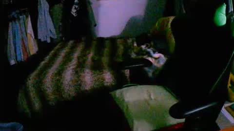 Snapshot of roketero93 chatting on December 2025 08:03:02 PM roktero 90 online show from December 2025 08:03:02 PM