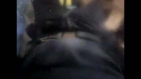 Snapshot of rollino83 chatting on November 2025 10:38:01 AM rollino83 online show from November 2025 10:38:01 AM