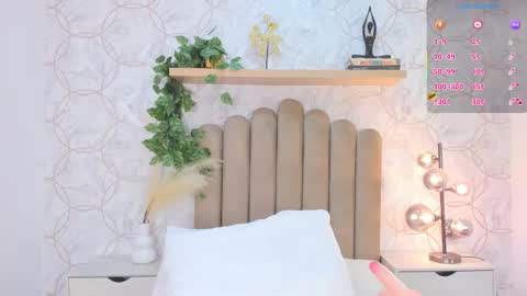   online show from November 2025 01:24:02 PM