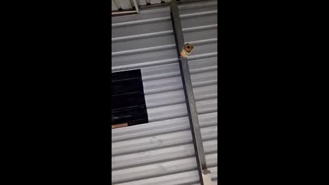 ronabater online show from January 2026 08:36:02 PM