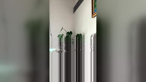 Snapshot of ronihall chatting on March 2026 06:08:01 PM Roni Hall online show from March 2026 06:08:01 PM