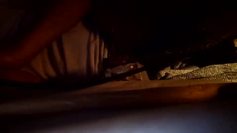 ronnieditzy online show from January 2025 05:34:01 PM