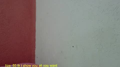 Snapshot of ronnispoto chatting on January 2025 09:22:01 PM ronny online show from January 2025 09:22:01 PM