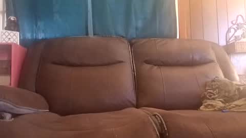 Snapshot of rooster14962831080 chatting on December 2025 04:44:01 PM rooster14962831080 online show from December 2025 04:44:01 PM