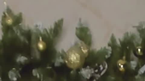 Snapshot of rosa1ia chatting on December 2024 10:05:01 PM Chloe online show from December 2024 10:05:01 PM