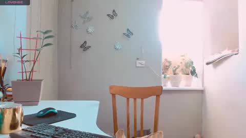 Snapshot of rosa843850 chatting on January 2025 01:03:01 PM rosa843850 online show from January 2025 01:03:01 PM