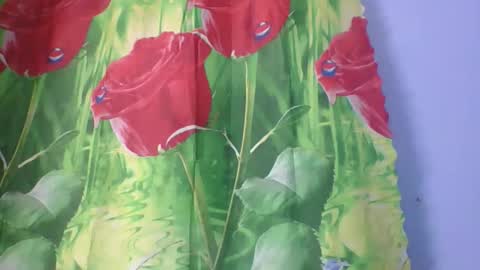 Snapshot of rosah225127 chatting on April 2026 02:28:01 AM rosah225127 online show from April 2026 02:28:01 AM