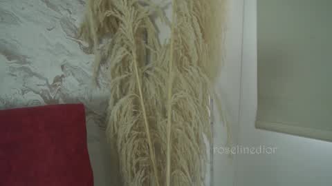 Lyla OF roselinedior online show from December 2025 01:38:02 PM