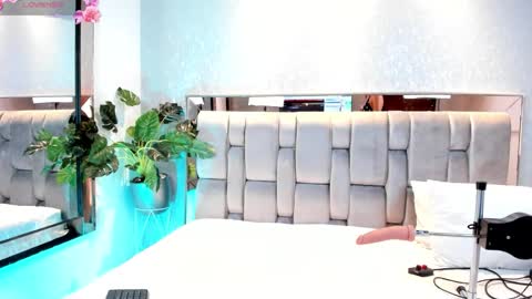 Rose online show from September 2025 05:31:01 AM