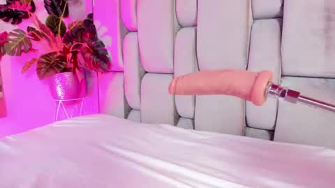 Rose online show from July 2026 12:54:01 AM