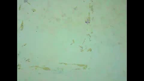 Snapshot of rosie6601 chatting on March 2026 08:19:01 AM rosie6601 online show from March 2026 08:19:01 AM