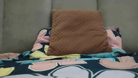 Rossdzires4u online show from January 2025 07:04:01 AM