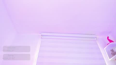 Snapshot of rosse_amyy chatting on February 2025 02:21:01 PM online show from February 2025 02:21:01 PM