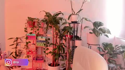 Im Ross   online show from October 2025 07:43:01 PM