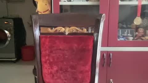 Snapshot of rsex2007 chatting on September 2025 05:09:02 AM rsex2007 online show from September 2025 05:09:02 AM