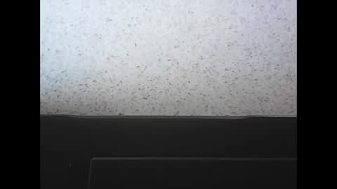 Snapshot of rubixman chatting on April 2026 03:53:01 PM rubixman online show from April 2026 03:53:01 PM