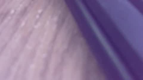 Snapshot of rudiandhisdick chatting on March 2026 01:17:01 PM rudiandhisdick online show from March 2026 01:17:01 PM