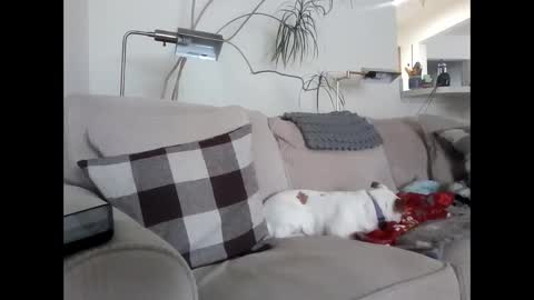 Rusty online show from March 2025 04:07:02 PM