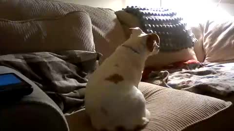 Rusty online show from October 2025 02:25:02 AM