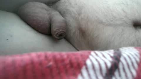 arte online show from February 2026 08:01:02 AM