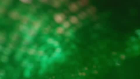 s_sofia_ online show from January 2025 01:21:01 AM