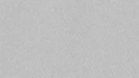 Leslie Beltrn online show from October 2025 03:59:02 AM