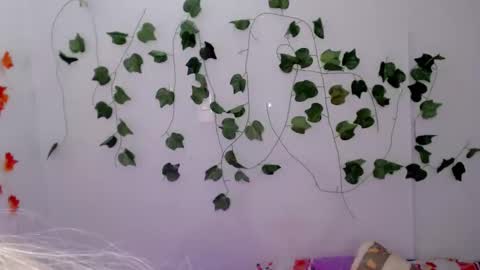 SABRI online show from January 2025 01:25:02 PM