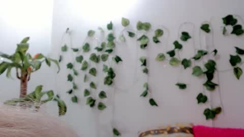 SABRI online show from September 2025 05:11:02 AM