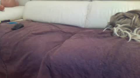 sabrinatravsexy online show from June 2026 07:41:02 PM