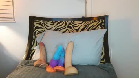 Snapshot of sadiessecretcloset chatting on March 2026 01:21:01 AM Sadiessecret online show from March 2026 01:21:01 AM