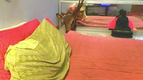xxSeXSouLxx online show from May 2026 01:57:02 AM