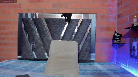 sainix_ online show from February 2025 02:26:01 AM