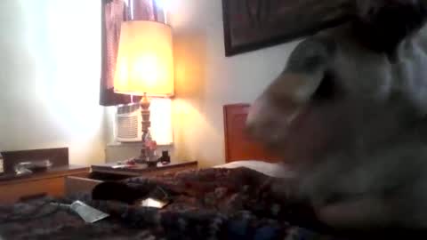 saintcali310 online show from April 2026 07:07:02 PM