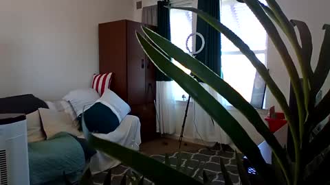 salis1981 online show from March 2025 05:39:02 PM