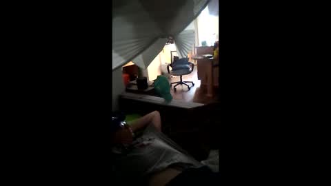 salis1981 online show from March 2026 11:30:02 PM