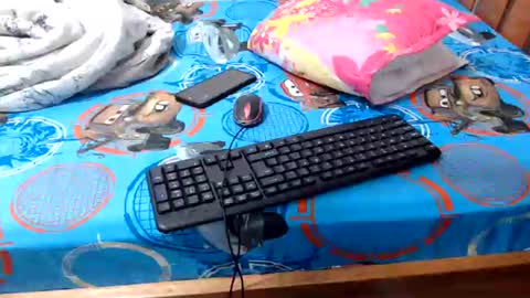 Snapshot of sallie_ chatting on June 2026 10:48:01 AM naomi online show from June 2026 10:48:01 AM