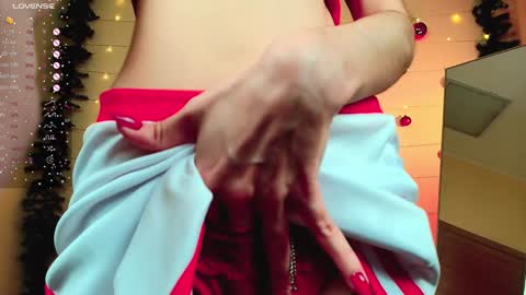 Snapshot of sallybiscuit chatting on December 2024 01:44:01 PM Sally online show from December 2024 01:44:01 PM