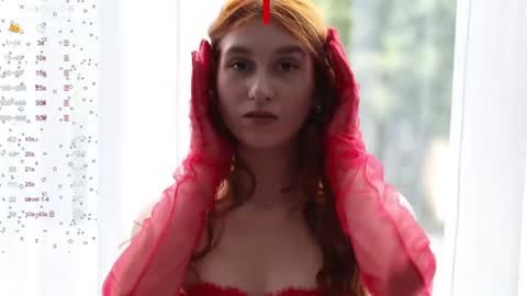 Snapshot of sallybiscuit chatting on December 2024 04:46:02 PM Sally online show from December 2024 04:46:02 PM