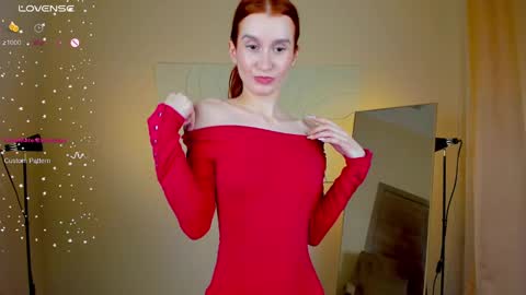 Snapshot of sallybiscuit chatting on January 2025 04:45:01 PM Sally online show from January 2025 04:45:01 PM