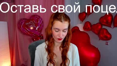 Snapshot of sallybiscuit chatting on February 2025 10:28:01 AM Sally online show from February 2025 10:28:01 AM