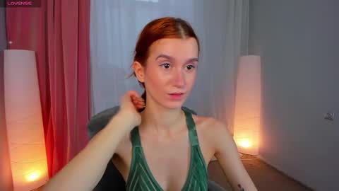 Snapshot of sallybiscuit chatting on February 2025 10:28:02 AM Sally online show from February 2025 10:28:02 AM