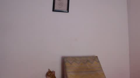 Snapshot of salvatore_amator chatting on April 2026 02:04:02 PM salvatore_amator online show from April 2026 02:04:02 PM