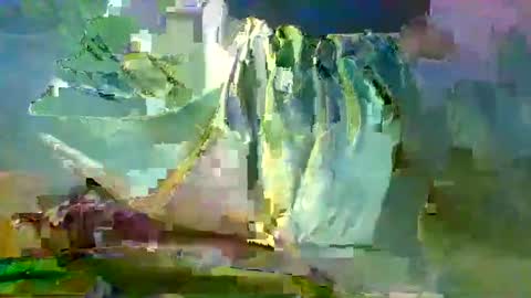 sam223382879 online show from December 2024 10:59:02 PM